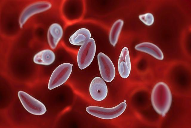 A toxoplasma gondii fertőzés megértése macskákban és kutyákban: tünetek, diagnózis és kezelés