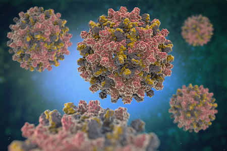 HEV IgM gyors teszt: Az út vezetése a hepatitis E diagnózisban