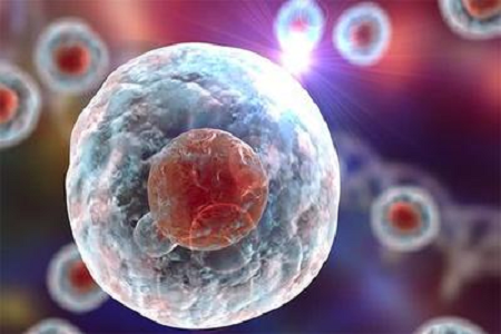 A Babio kiváló minőségű Giemsa Stain B oldatot indít a fejlett citogenetikai és hematológiai diagnosztikához