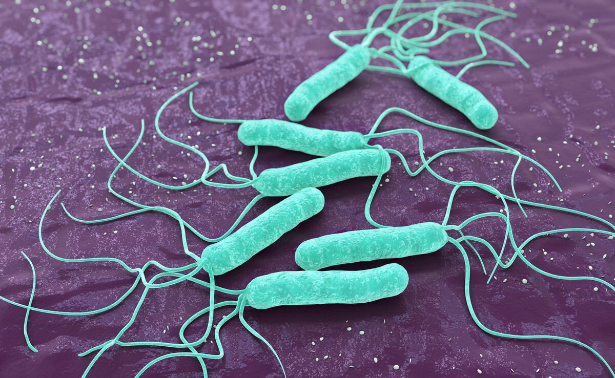 A Babio elindítja a filariasis IgG/IgM gyors tesztkészletet a globális filarialis betegség diagnózisának támogatására