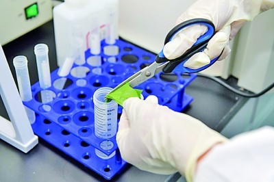 Megbízható baktériumok azonosítása egyszerűvé teszi a Babio Gram foltkészlettel