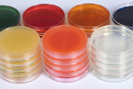 Kiváló minőségű Sapouraud Dextrose agar (SDA) készítette Babio