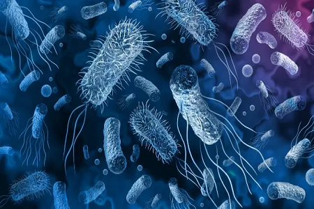 A BABIO elindítja a Vibrio Cholera Rapid Antigen Detektáló készletet