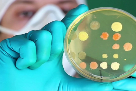 A BABIO piacra dobja a prémium triptikáz szójalevest (TSB) a globális klinikai és laboratóriumi mikrobiológia számára