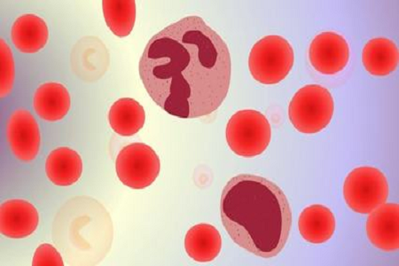 A BABIO elindítja a HBcAb Hepatitis B Core Ab gyorstesztjét a globális piacokon