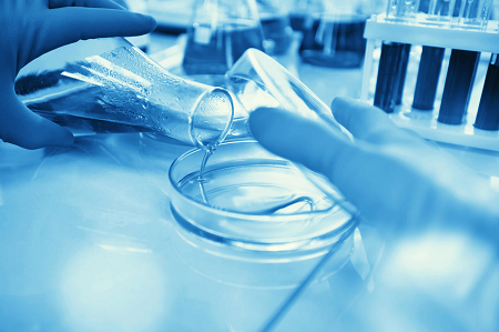 A BABIO Nutrient Agar granulátum világszerte támogatja a megbízható mikrobiológiai vizsgálatokat