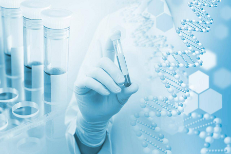 H. pylori IgG/IgM tesztkészlet: Rapid Antibody Screening Solution